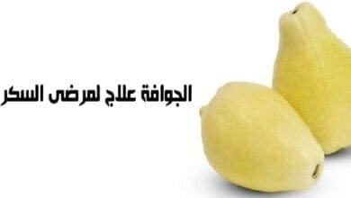 صورة الجوافة علاج لمرضى السكري