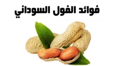 صورة فوائد الفول السوداني peanuts benefits