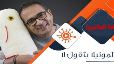 صورة لغة البكتيريا هل سمعت بوجودها من قبل