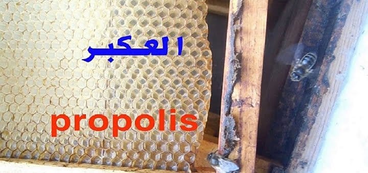 العكبر البروبوليس مكوناته وفوائده