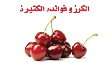 صورة الكرز والفوائد العظيمة
