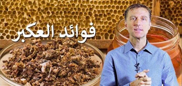 عكبر النحل لتقوية المناعة ضد الفيروسات