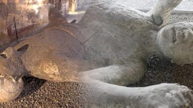 صورة كيف عذب الله قوم لوط