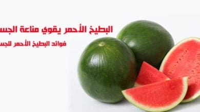 صورة البطيخ الأحمر يقوي مناعة الجسم