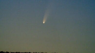 صورة ظهور المذنب نيووايز في سماء يوليو