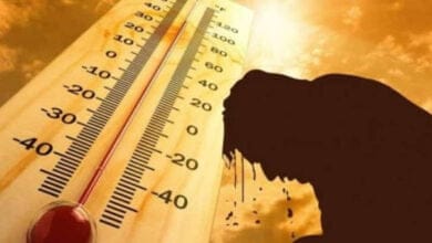 صورة ما هي أسباب موجات الحر العالمية الحالية