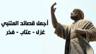 صورة أجمل قصائد المتنبي – غزل – عتاب – فخر