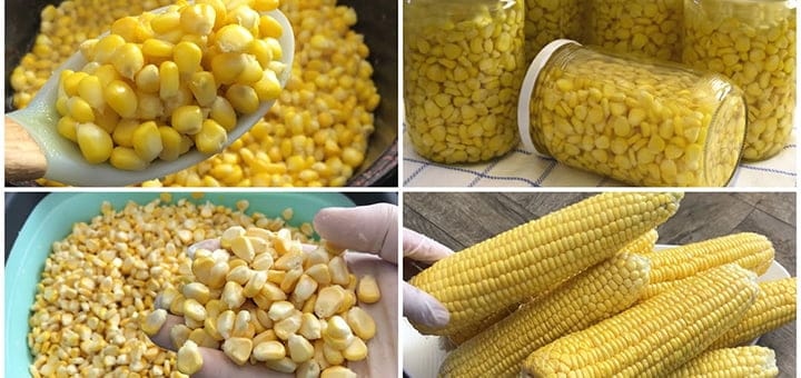أسهل طرق حفظ الذرة بدون ثلاجة