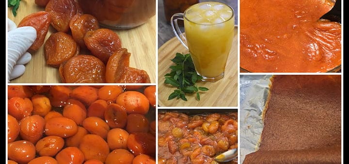 تحضير مربى المشمش بعدة طرق