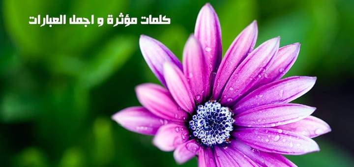كلمات مؤثرة و اجمل العبارات