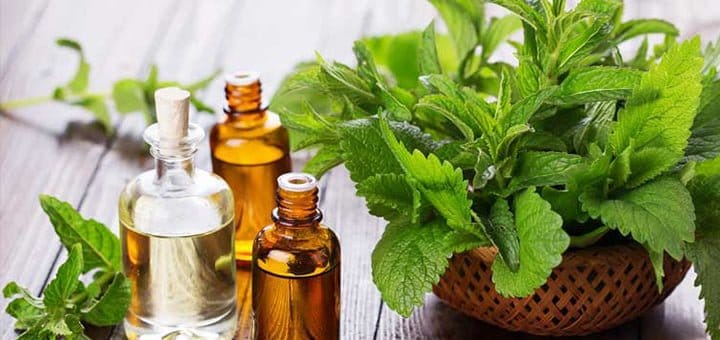 فوائد زيت النعناع الاخضر المذهلة في الغذاء و الدواء