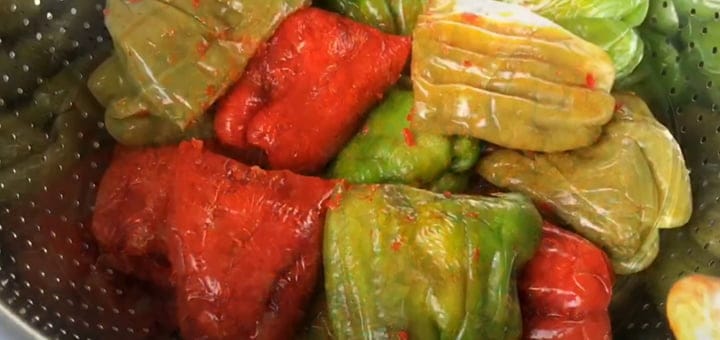 كيفية صنع مكدوس الفليفلة بطريقة ناجحة