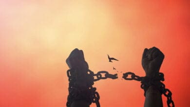 صورة مفهوم الحرية بين الغرب والإسلام