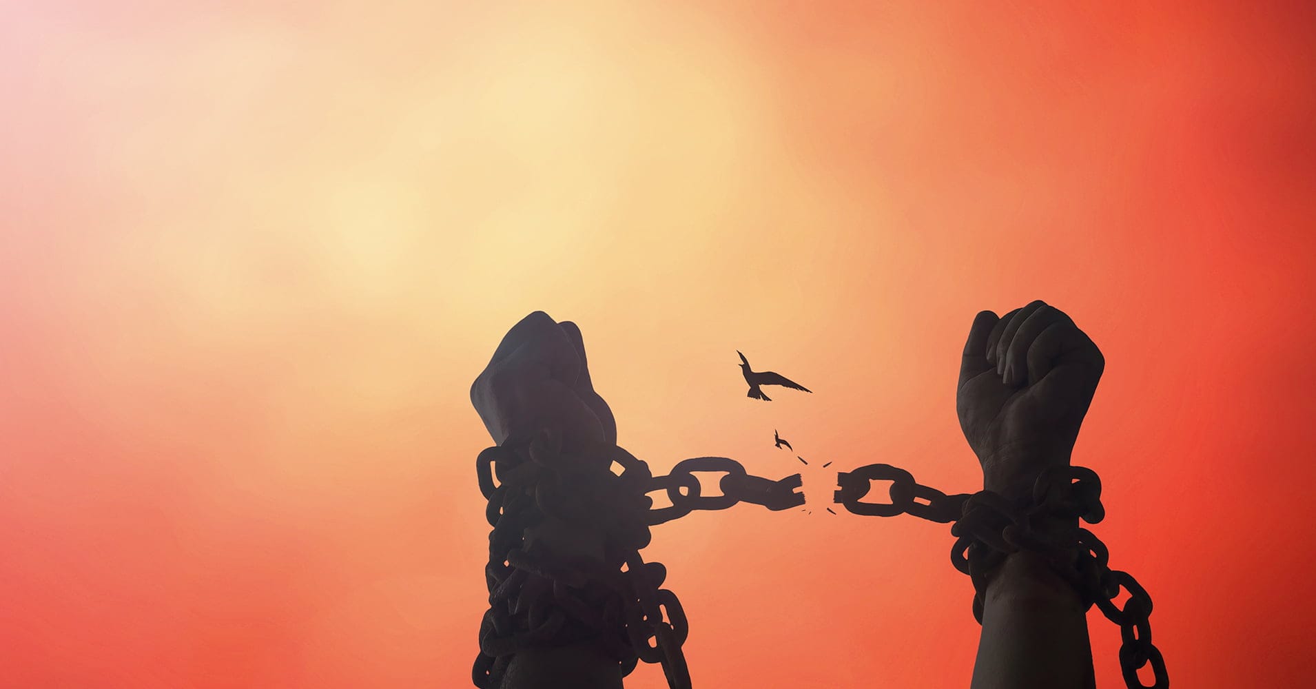 مفهوم الحرية بين الغرب والإسلام