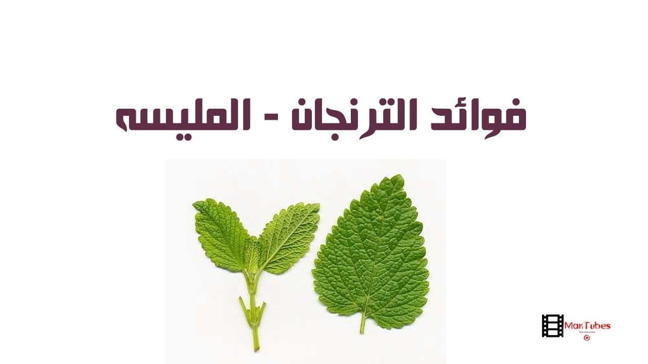 الترنجان - المليسه