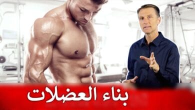 صورة كيفية بناء العضلات خلال الحمية