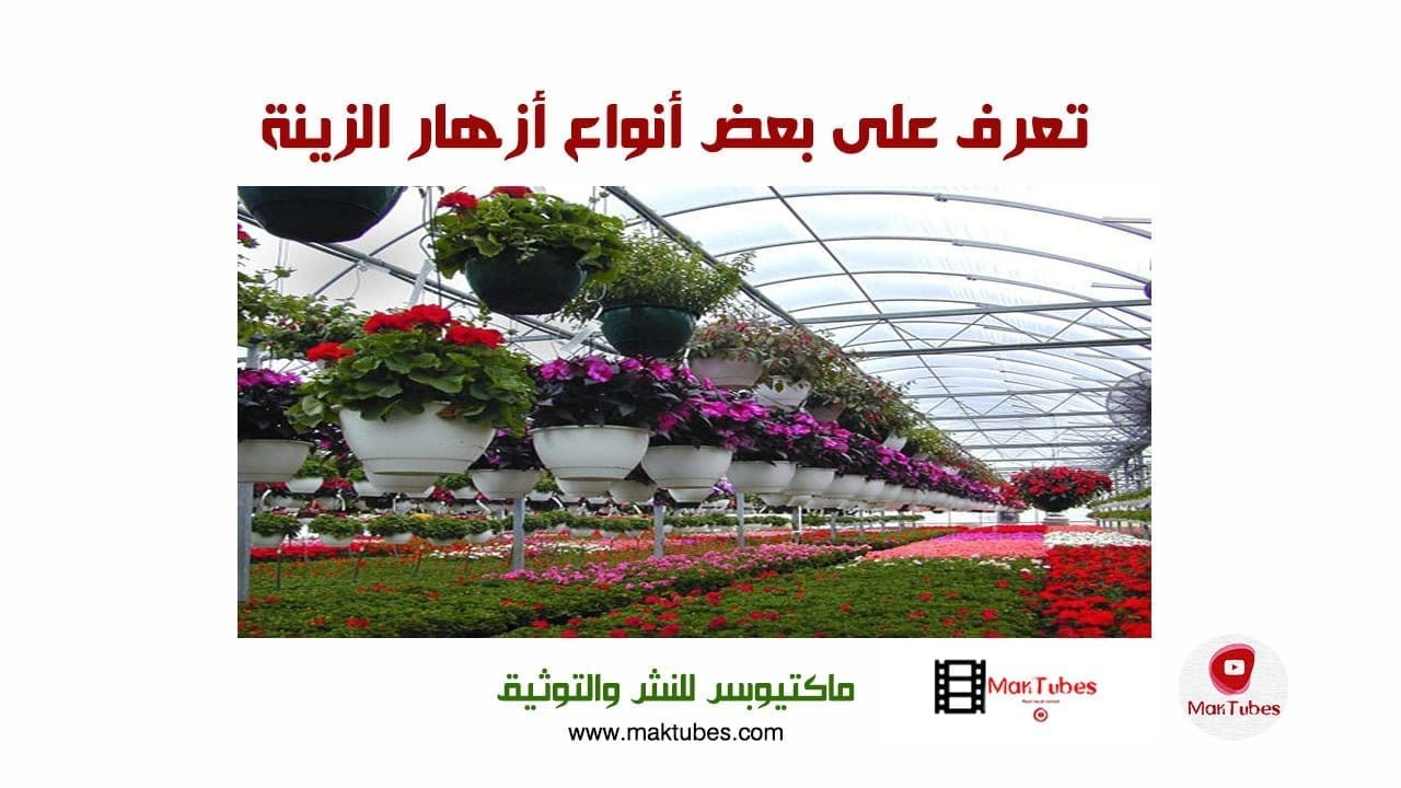 تعرف على بعض أنواع أزهار الزينة