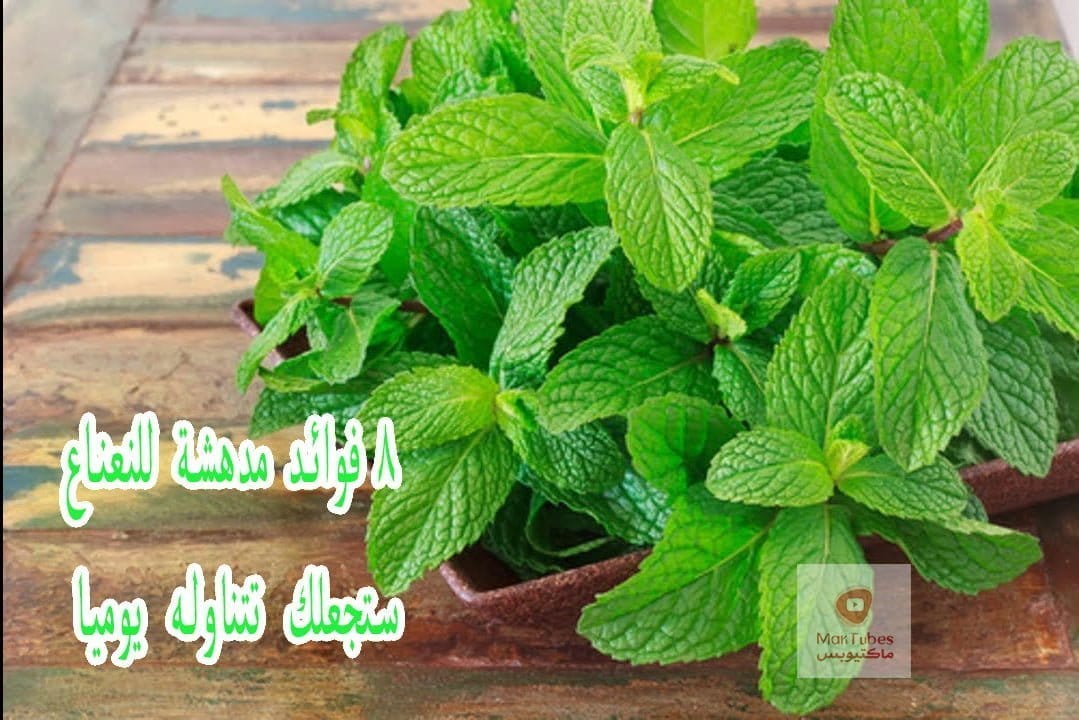 فوائد النعناع المغلي | 8 فوائد مدهشة للنعناع ستجعلك تتناوله يوميا!