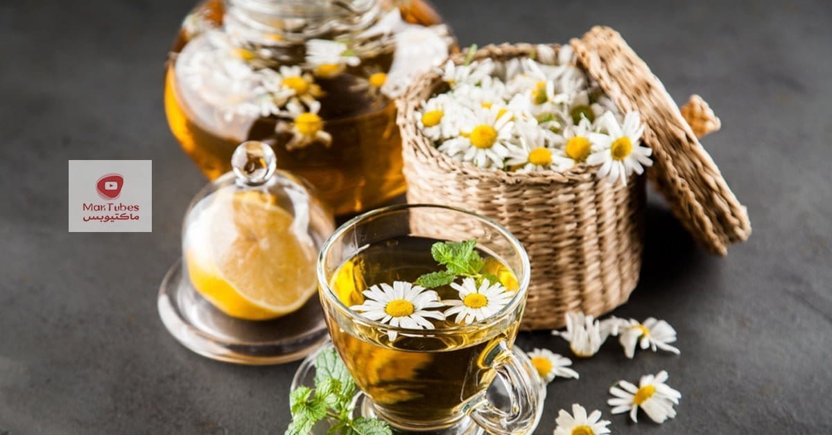 فوائد البابونج | اشرب شاي البابونج قبل النوم وإستيقظ على سبعة فوائد