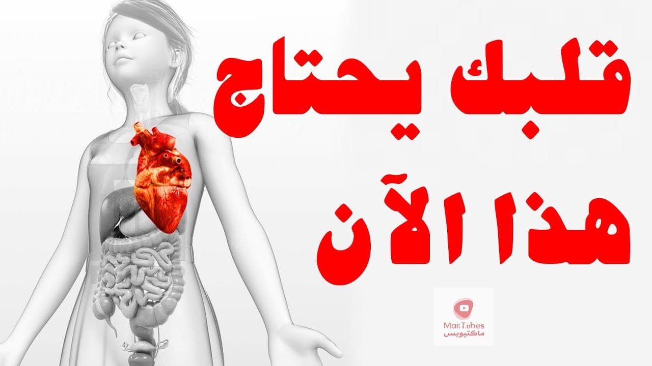 المغنيسيوم | الأطعمة التي تحتوي على أعلى كمية من المغنيسيوم للحماية من أمراض القلب