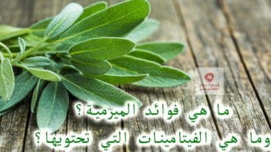 صورة فوائد الميرمية | ما هي؟ وما هي الفيتامينات التي تحتويها؟ – حسن خليفة