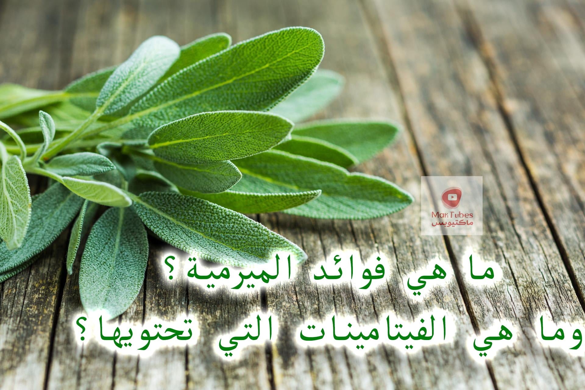 فوائد الميرمية | ما هي؟ وما هي الفيتامينات التي تحتويها؟ - حسن خليفة