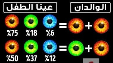 صورة علم الوراثة | ماذا يعني ان كنت لا تشبه والديك؟ أليك السبب في علم الوراثة