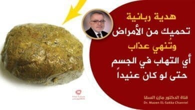 صورة العكبر المذكور في القرآن | الحيوية وقوة المناعة