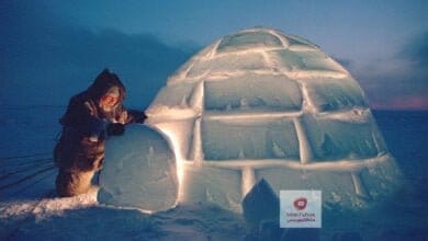 صورة كيف يبقى كوخ الثلج دافئ من الداخل؟ شعب الاسكيمو