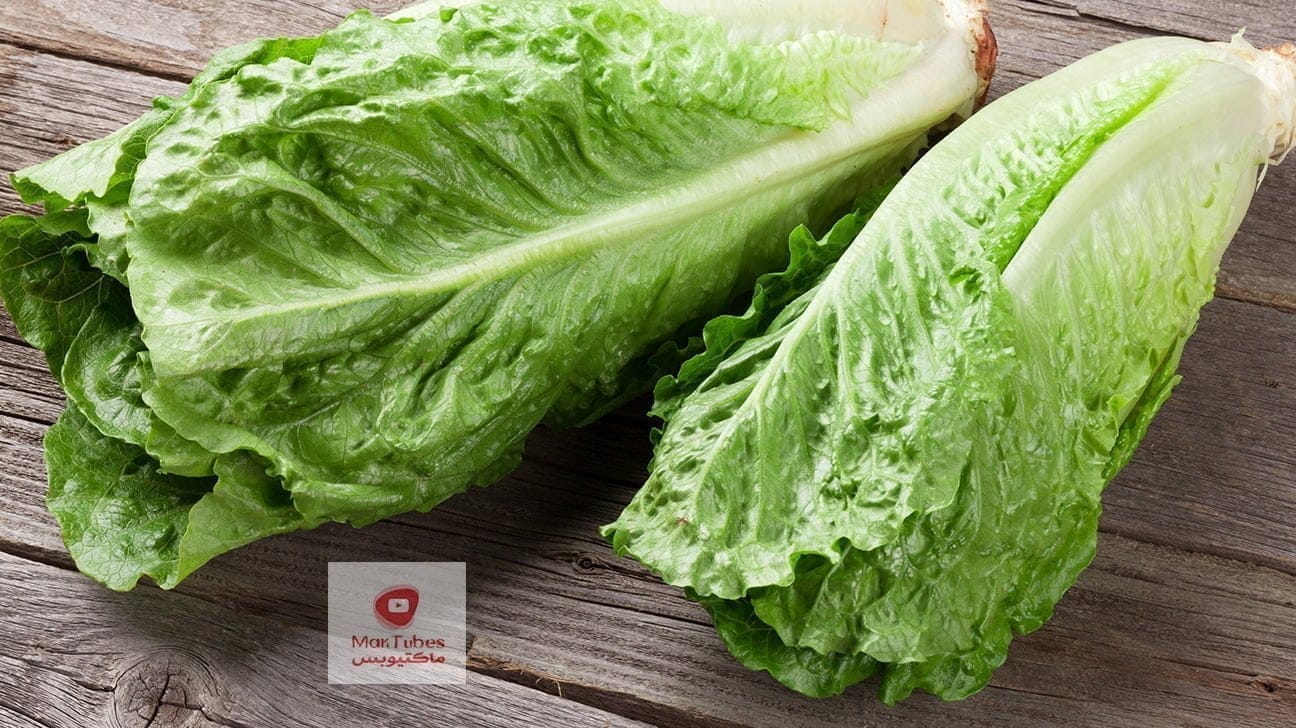 الخس وما علاقته بصحة البشرة والشيخوخة والشيب المبكر