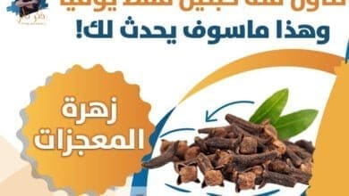 صورة فوائد القرنفل وما هي مادة الأوجينول وما هي تأثيراته على الدم