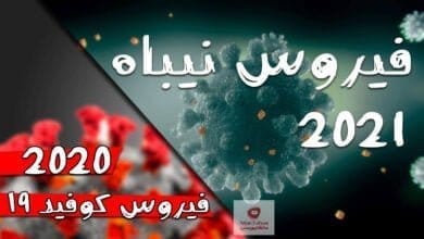 صورة الاوبئة والامراض | كيف تنتشر في العالم؟ وكيف نهزمها؟ وما دور منظمة الصحة العالمية؟