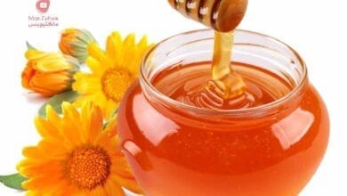 صورة فوائد العسل الملكي وأضراره او الغذاء الملكي وما هي علاجاته
