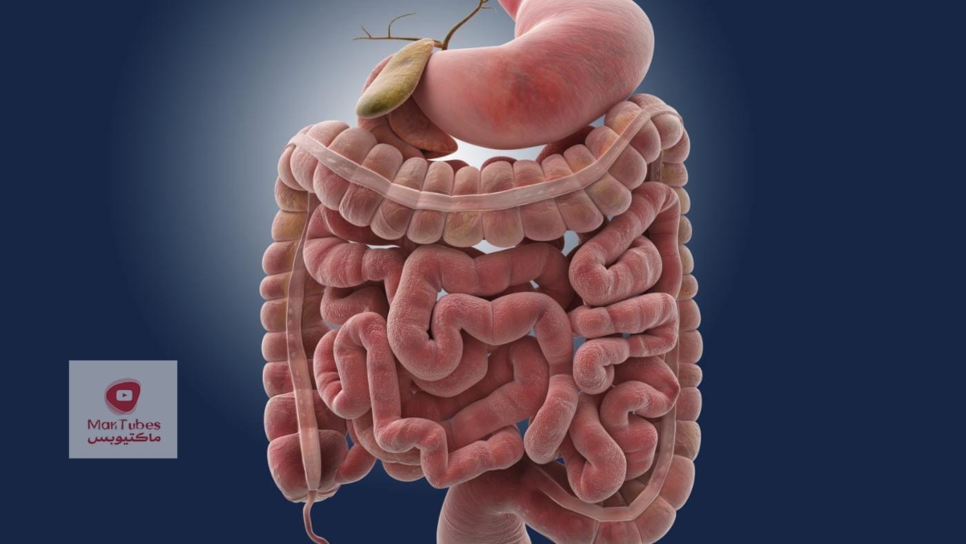 أكثر مشكلات صحية متعلقة بالأمعاء | وما علاقة الصداع النصفي والاكزيما وضباب الدماغ بذلك؟