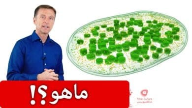 صورة رائحة الجسم | شيء يمكننا تناوله كل يوم يساعد في تقليل رائحة الجسم ومضاد للقرحة