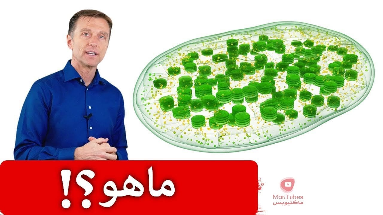 رائحة الجسم | شيء يمكننا تناوله كل يوم يساعد في تقليل رائحة الجسم ومضاد للقرحة