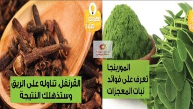 صورة المورينجا ما هو وماهي فوائده | القرنفل ماذا يحصل عند تناوله على الريق