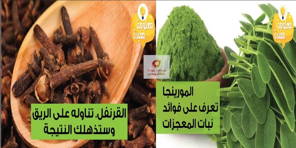 المورينجا ما هو وماهي فوائده | القرنفل ماذا يحصل عند تناوله على الريق