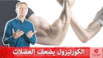 صورة الكورتيزول والعضلات | ما هي اضراره؟ وكيف نخفضه في حال ارتفاع الكورتيزول؟