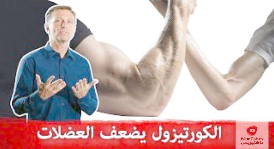 الكورتيزول والعضلات | ما هي اضراره؟ وكيف نخفضه في حال ارتفاع الكورتيزول؟