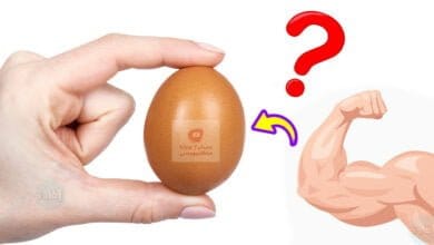صورة البروتين في البيض | ما هي نسبته؟ | وما هي أفضل طريقة لتناوله؟