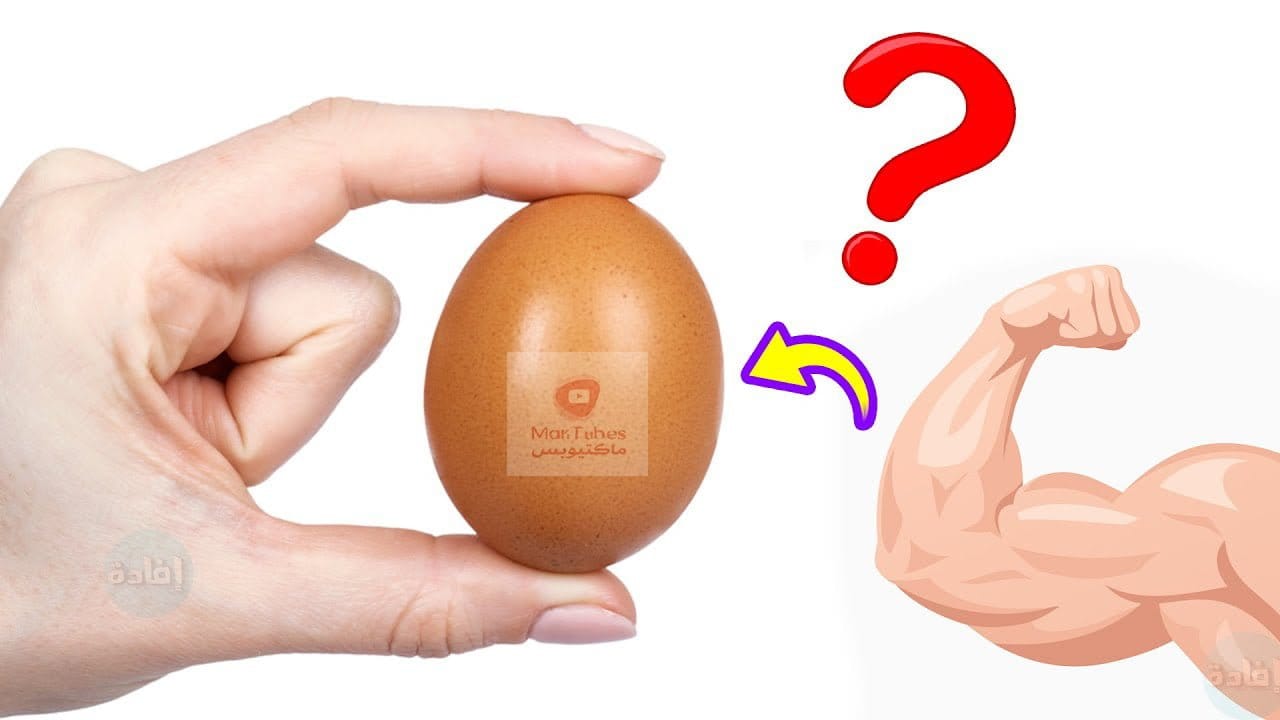 البروتين في البيض | ما هي نسبته؟ | وما هي أفضل طريقة لتناوله؟