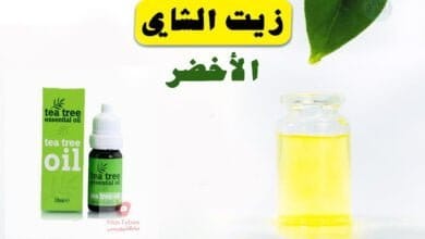 صورة فوائد زيت الشاي الاخضر | متى نستعمله؟ هل هناك اي خطر في استخدامه؟