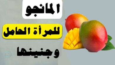 صورة فوائد المانجو للحامل | كيف يمكن ان يمنع من تسمم الحمل وحماية الجنين ؟!