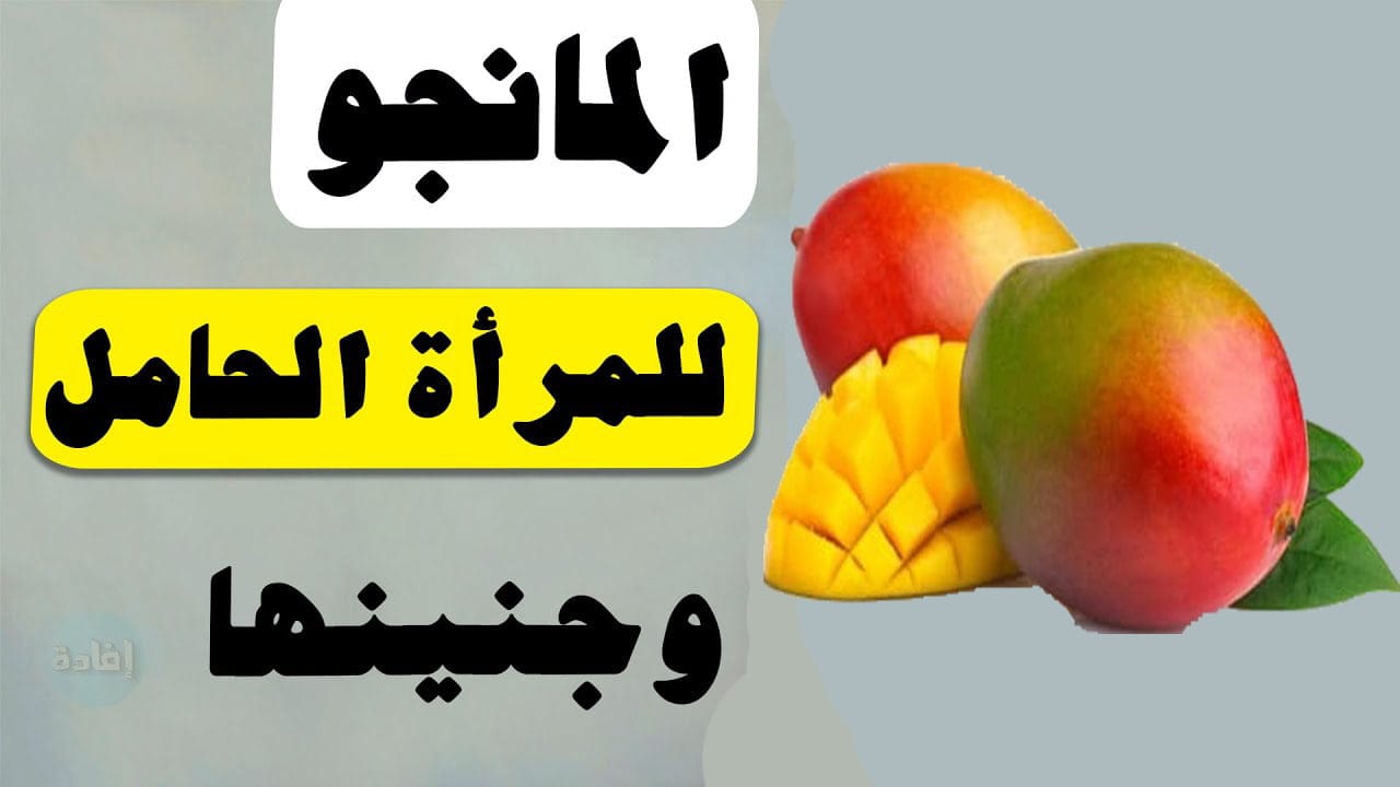 فوائد المانجو للحامل | كيف يمكن ان يمنع من تسمم الحمل وحماية الجنين ؟!