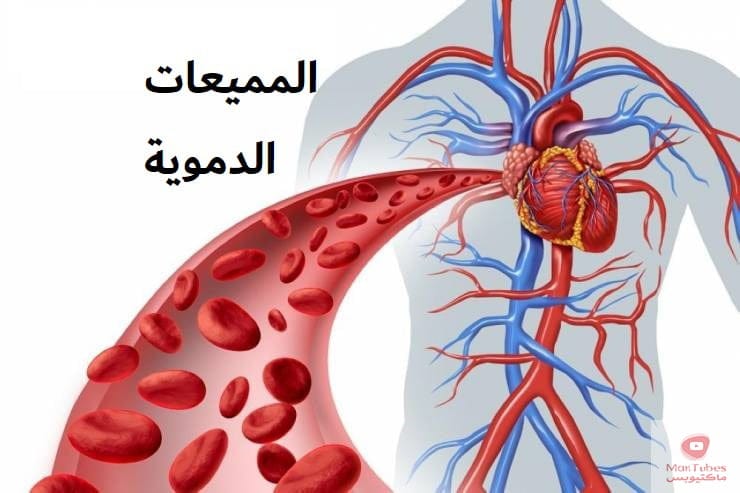 مميعات الدم | الخضار المسموحة والممنوعة عند تناول مميعات الدم