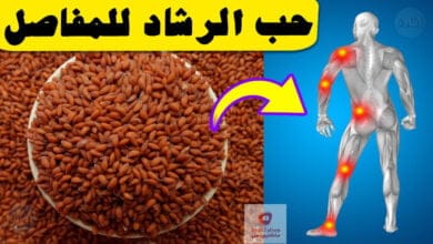 صورة حب الرشاد | طريقة استخدام حب الرشاد للمفاصل | وما هي الاثار الجانبية؟