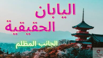 صورة اليابان – الجانب المظلم لهذا الدولة المتقدمة – خفايا واسرار هذه الدولة