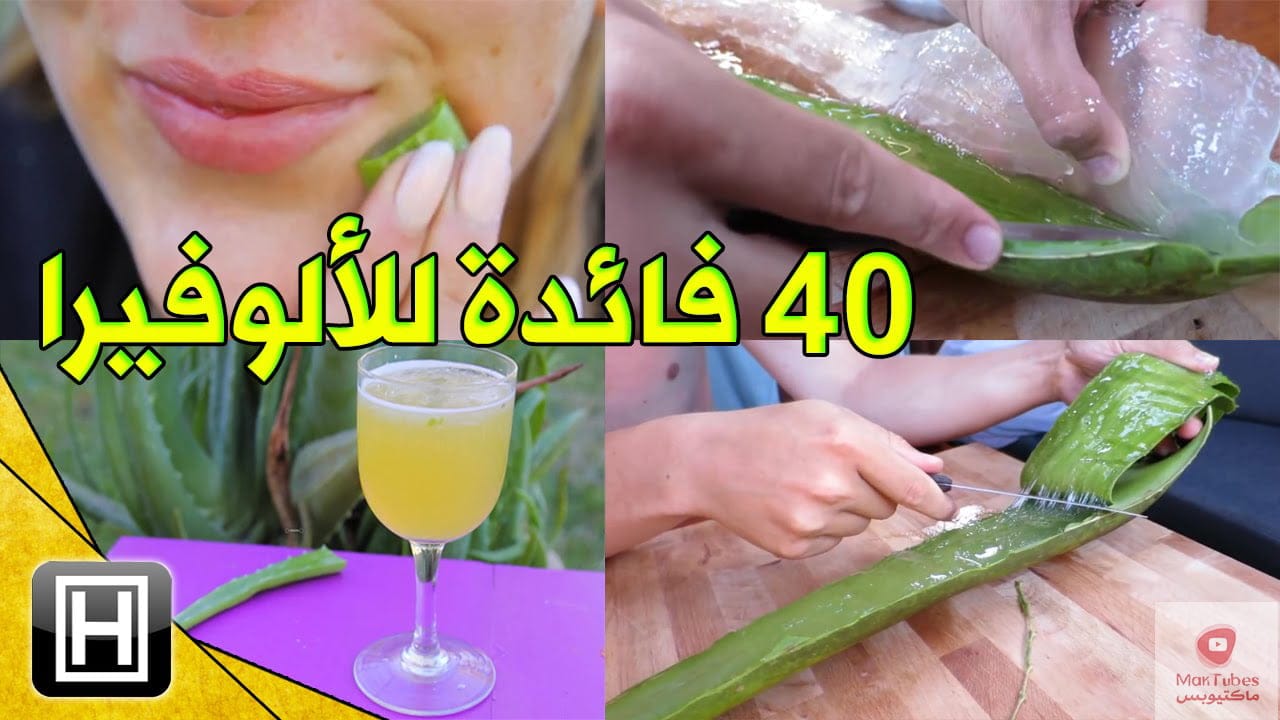 فوائد الالوفيرا | إستعمالاتها المختلفة على البشرة والشعر والجسم