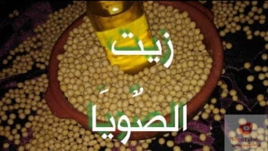 صورة زيت الصويا “الصوجا” – ما هي فوائده وكيفية استخراجه وبعض وصفاته للشعر و البشرة